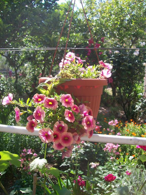 Apartments And Rooms Lijesevic بودفا المظهر الخارجي الصورة
